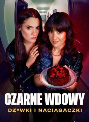 黑寡妇风月陷阱第一季