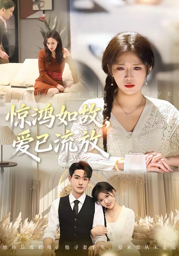 惊鸿如故，爱已流放